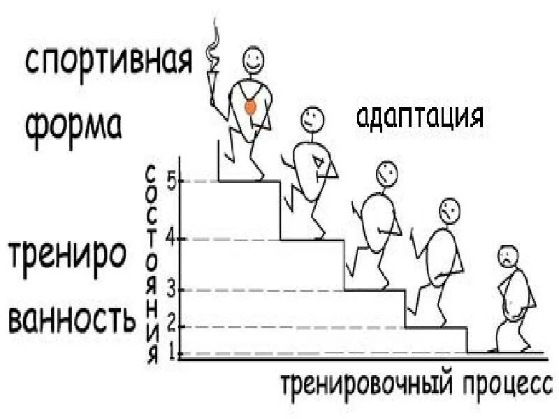 Спортивная адаптация. Адаптация в спорте презентация. Адаптация в спорте картинки. Адаптация в спорте таблица.