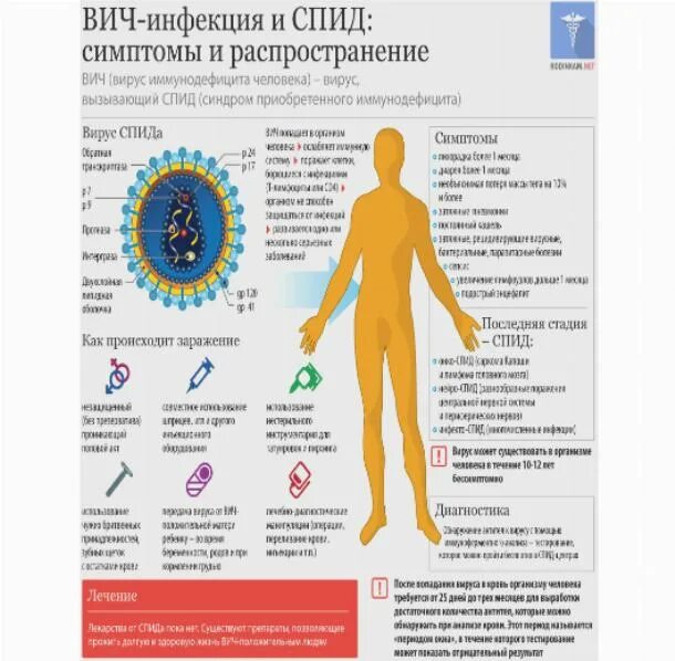 Сальмонеллез проявление болезни. Лептоспироз пути заражения человека. Признаки глобализации. Вредное воздействие наркотических веществ на организм человека. Проблема спида.