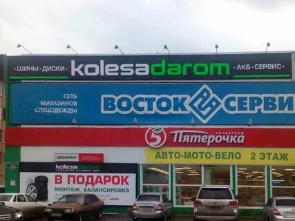 Бузулук гая