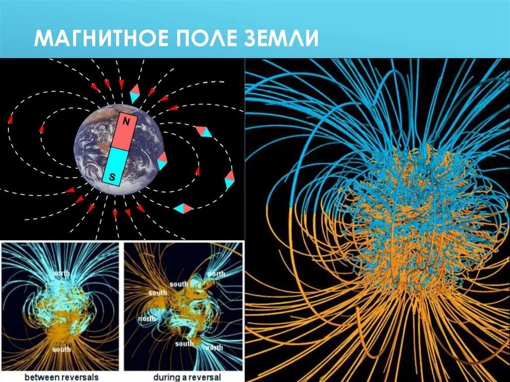 Доклад по физике магнитное поле земли