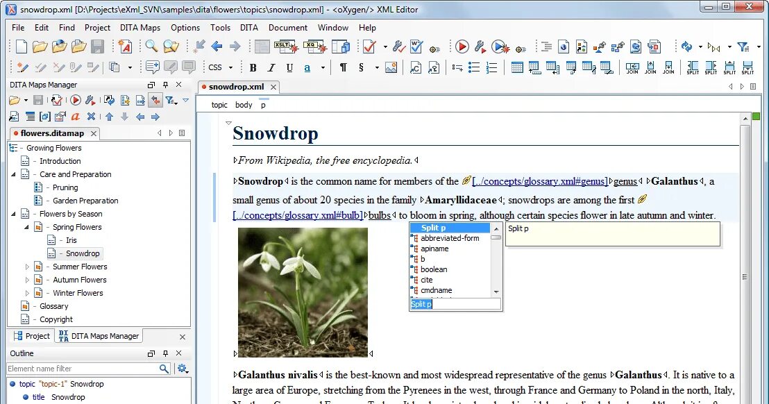 Oxygen editor. Xml editor от oxygen. oxygen xml editor enterprise. oxygen xml editor 23.1. oxygen xml editor edit file.