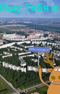 Погода краснообск сейчас