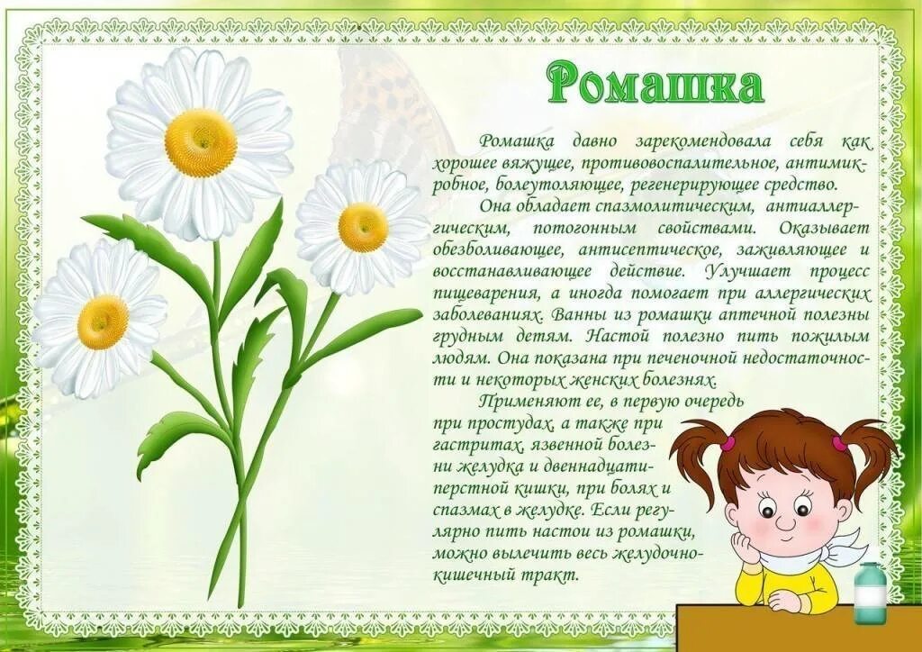 Зеленая аптека лекарственные растения. Лекарственные растения для дошкольников. В мире лекарственных растений. Лекарственные растения в детском саду. Плакат лекарственные растения для детей.