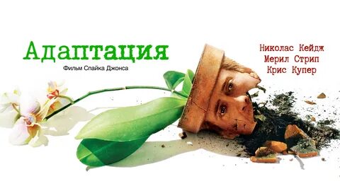 Видео адаптация