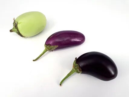 3 x Small eggplant 2017 A2.jpg. w:en:public domain. 