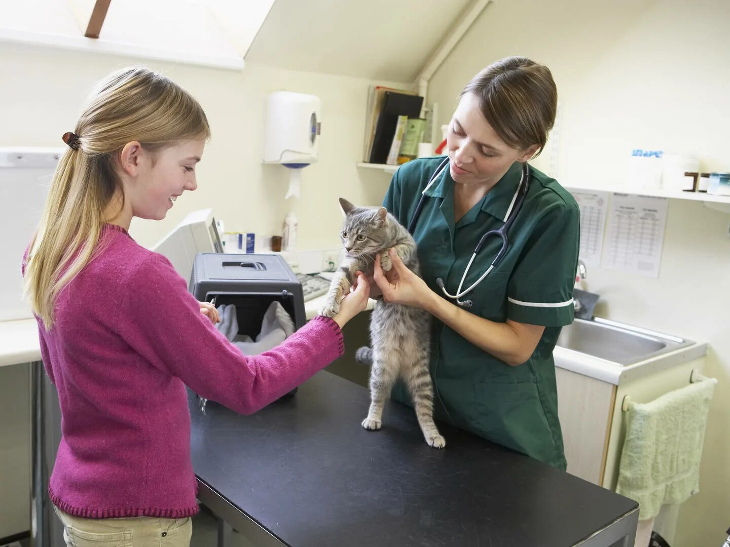 Ветеринар для кошки отзывы. Ветеринар с кошкой. Кошка в ветеринарной клинике. Кот в ветклинике. Девушка ветеринар.