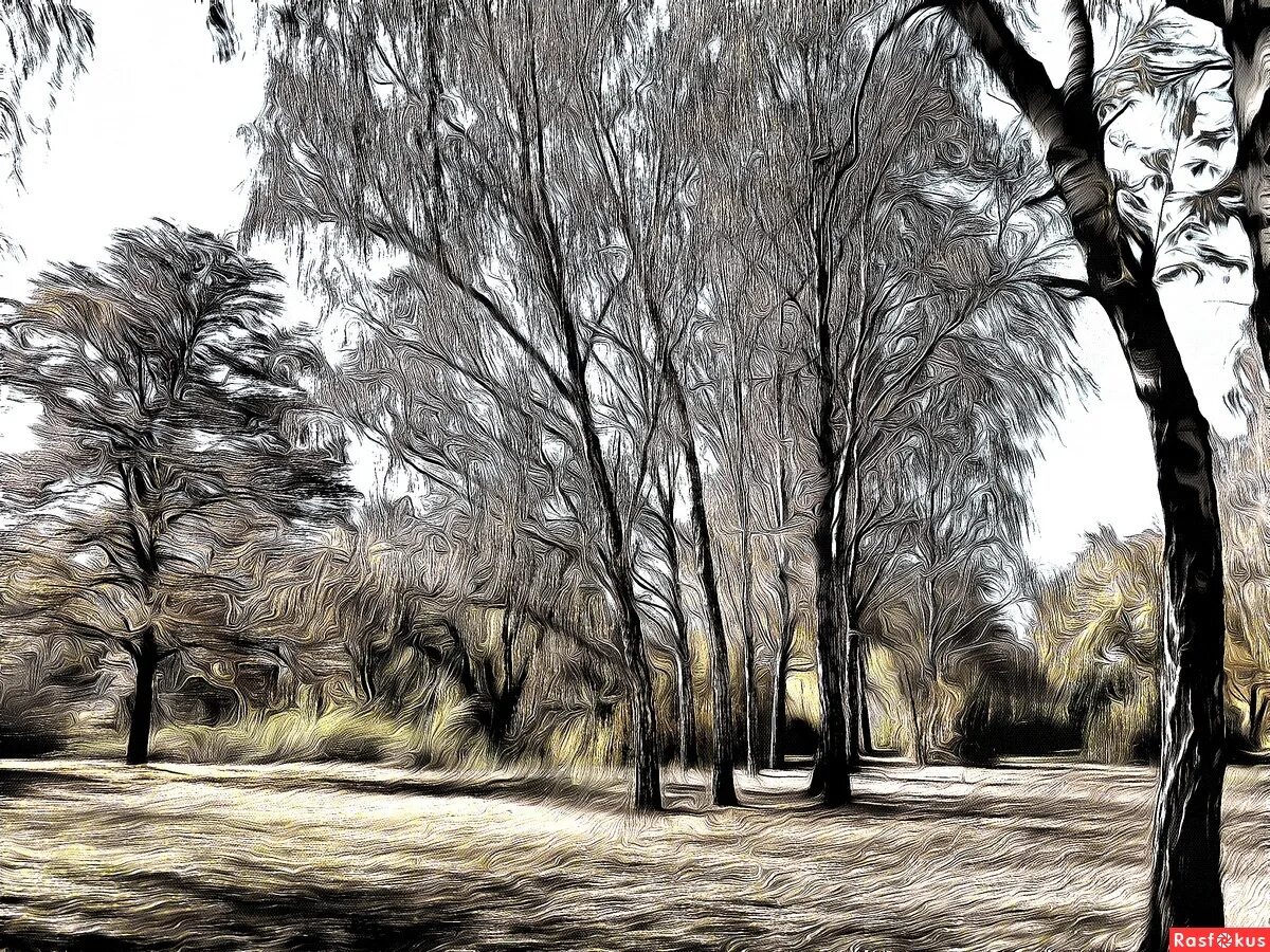 стих ах вы ветры ветры буйные. песня ах вы ветры ветры буйные. анализ стихотворения тютчева листья. обниму березку стихи. песня ах вы ветры ветры буйные.