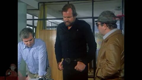 без паники кардош