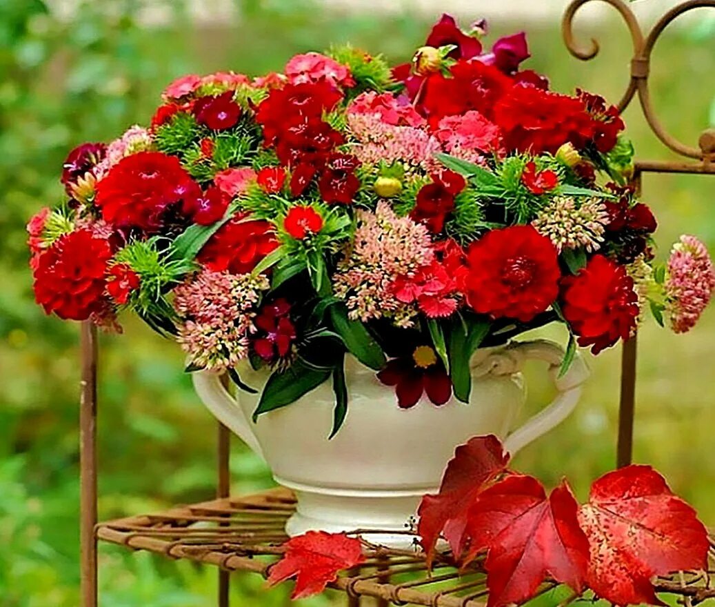 Яркие осенние цветы. Красивый букет цветов. Осенний букет цветов. Красивые осенние букеты цветов.