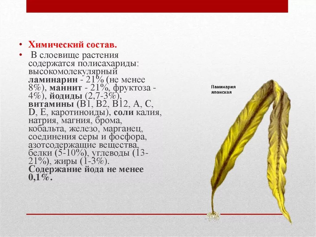 В каких растениях содержится соль. Растения и сырье содержащие полисахариды,. Что содержится в растениях. Полисахариды в ламинарии. Лекарственные растения содержащие полисахариды.