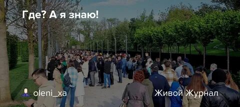 Как получить qr код в парк галицкого