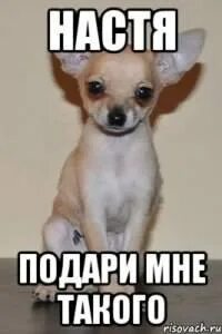 Отдала насте