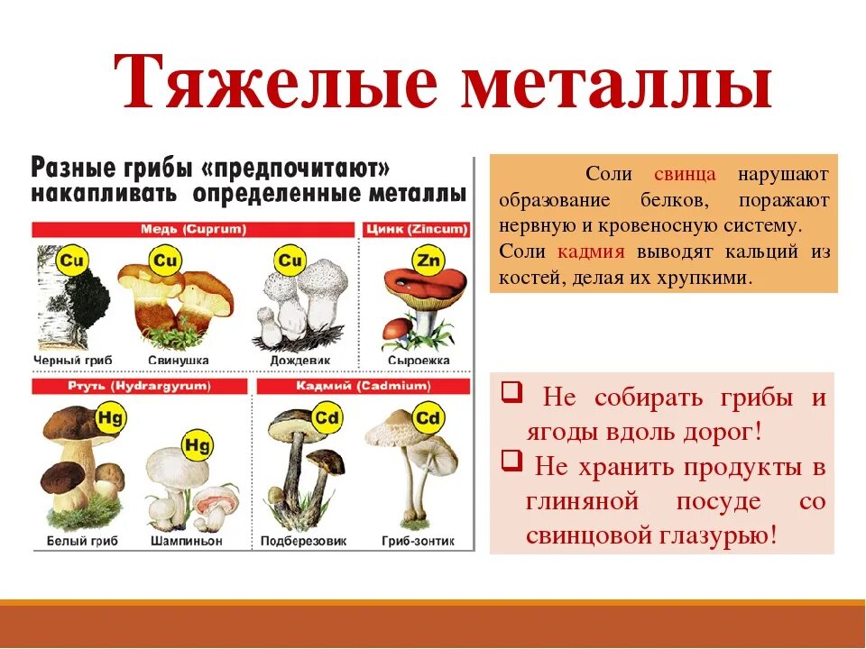 Тяжелые металлы в грибах. Соли тяжелых металлов в продуктах питания. Тяжелые металлы в пище. Соли тяжелых металлов в пищевых продуктах.