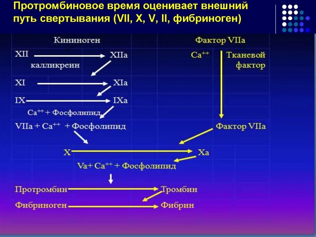 Формы свертывания текстовой информации