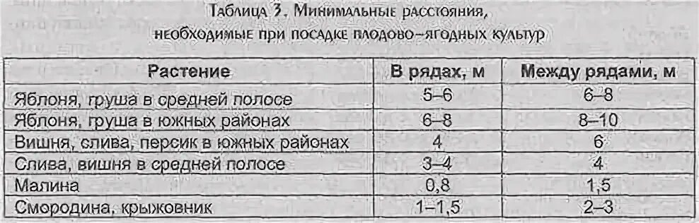 Сколько яблонь можно посадить