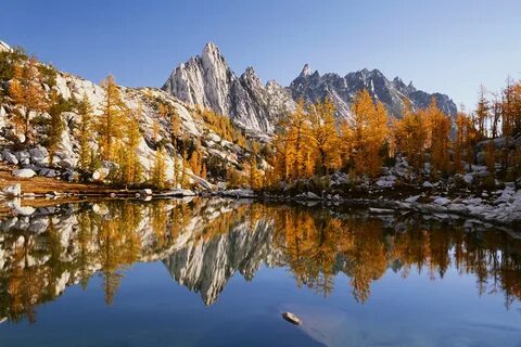 Best fall