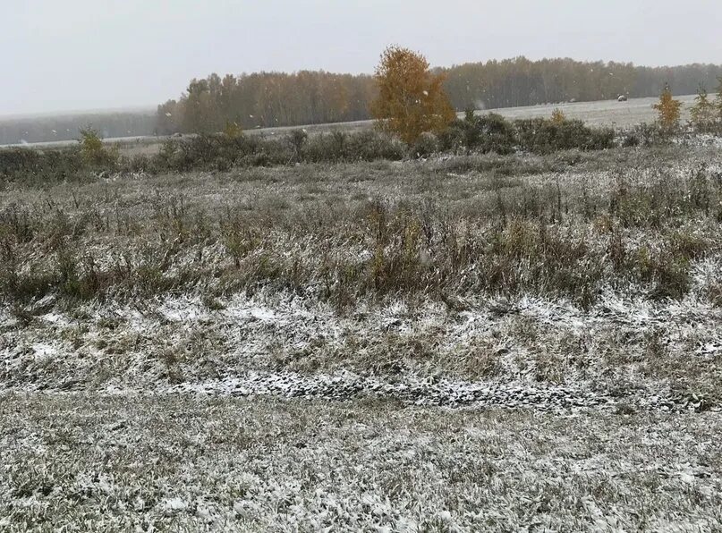 Сколько осталось до снега. До зимы осталось. Сколько дней сколько дней до нового года. До конца зимы осталось. Сколько осталось до снега.