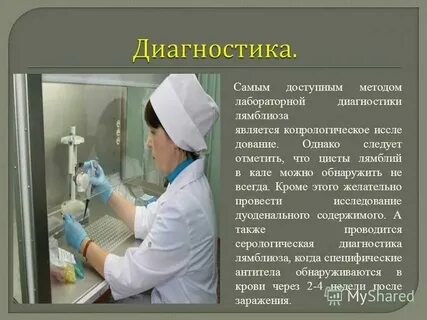 Цисты лямблии методом игх