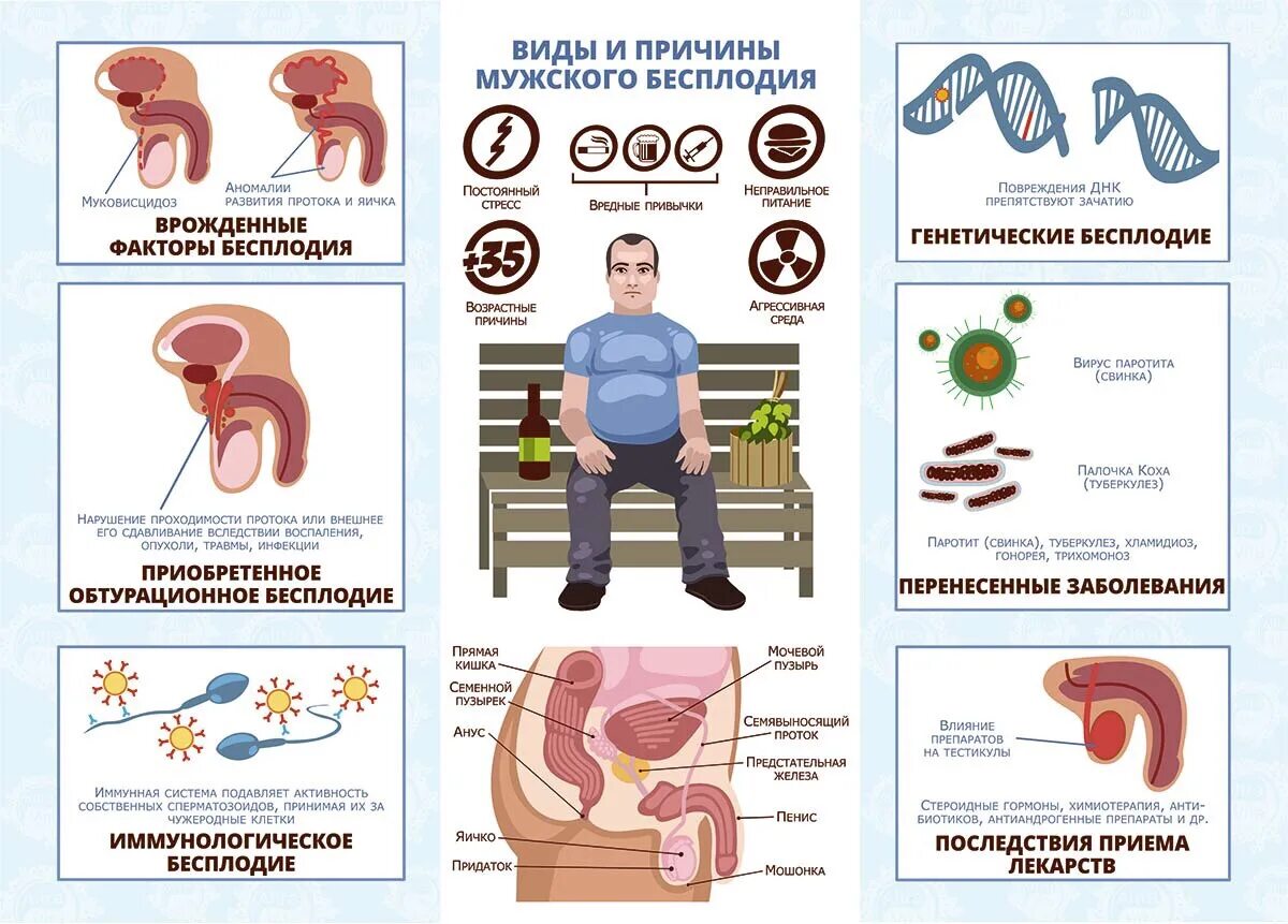 Инфекция бесплодие. Причины мужского бесплодия. Симптомы бесплодия у мужчин. Признаки бесплодия у мужчин. Бесплодность у мужчин причины.