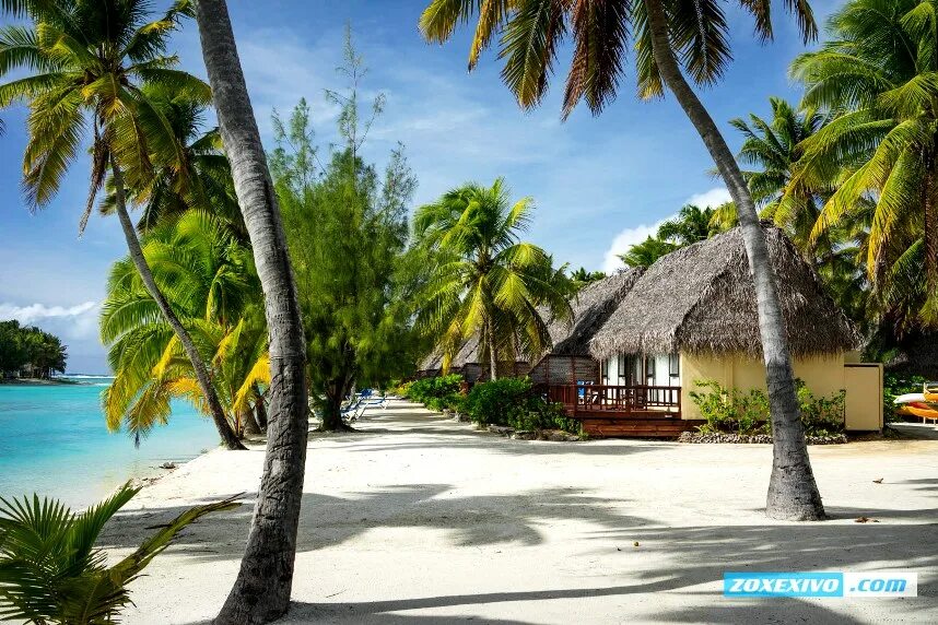 islands Island vacation, Beach vacation spots, Islands in the pacific