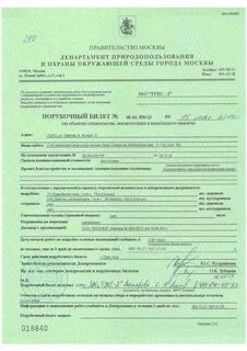 Срок порубочного билета