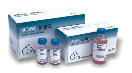 Т вакцина. Рабиес вакцина для собак. Вакцина Нобивак Rabies. Нобивак от бешенства. Нобивак для собак.