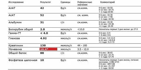 Анализ креатинин и мочевина как подготовиться