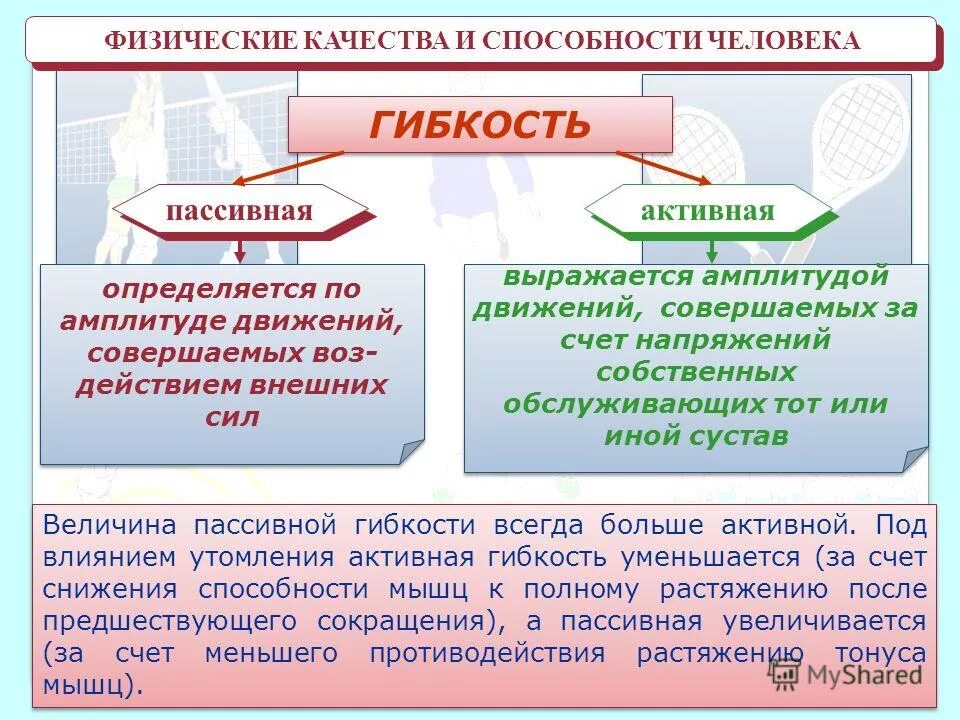 Дать определение физическим качествам