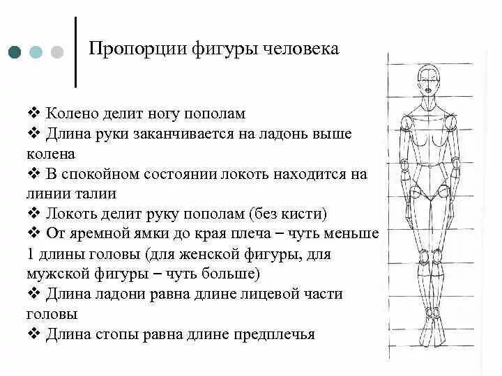 Длина рук составляет. Пропорции строения тела человека. Пропорции головы к телу человека таблица. Пропорции человеческого тела для рисования схема. Построение человека рисунок пропорции.