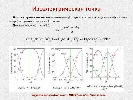 Методы определения изоэлектрической точки растворов биополимеров