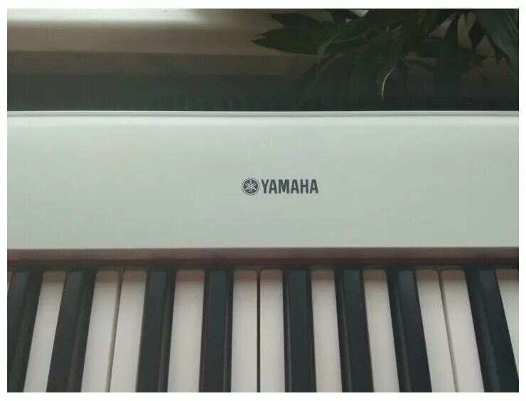 Yamaha np-12. Yamaha np 32. Электропианино yamaha np-12b. Пианино 76 клавиш. Цифровое пианино yamaha np-32.