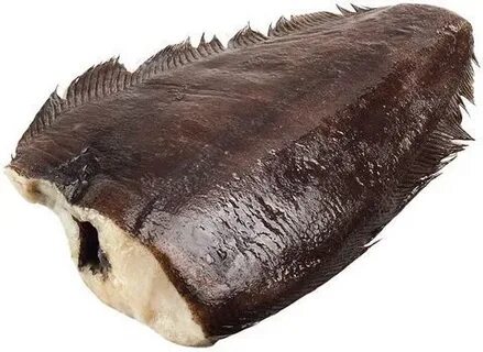 Черный палтус