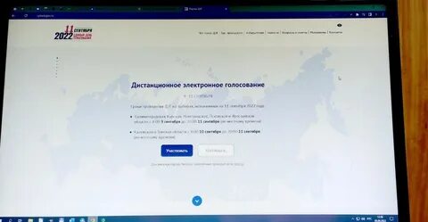 Голосование 2024 вопросы