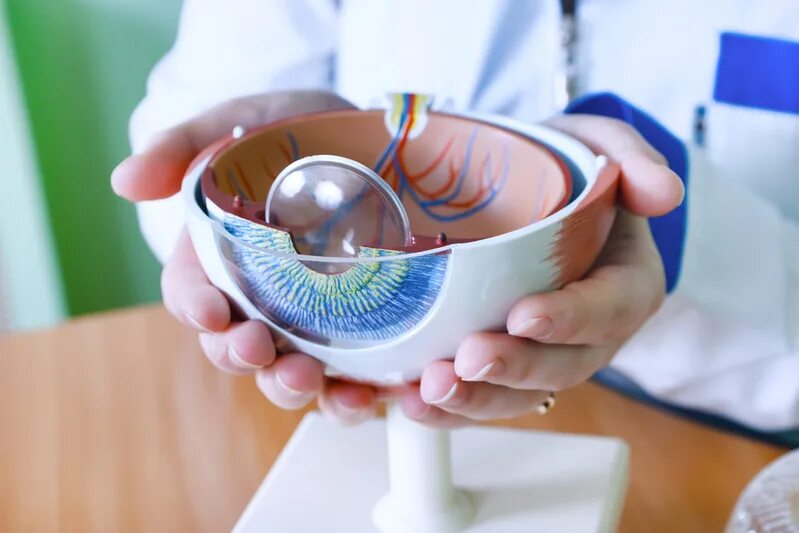 Офтальмолог глаз. Офтальмолог глаз. Глаз medical. Глаз medical. Красивый глаз офтальмология.