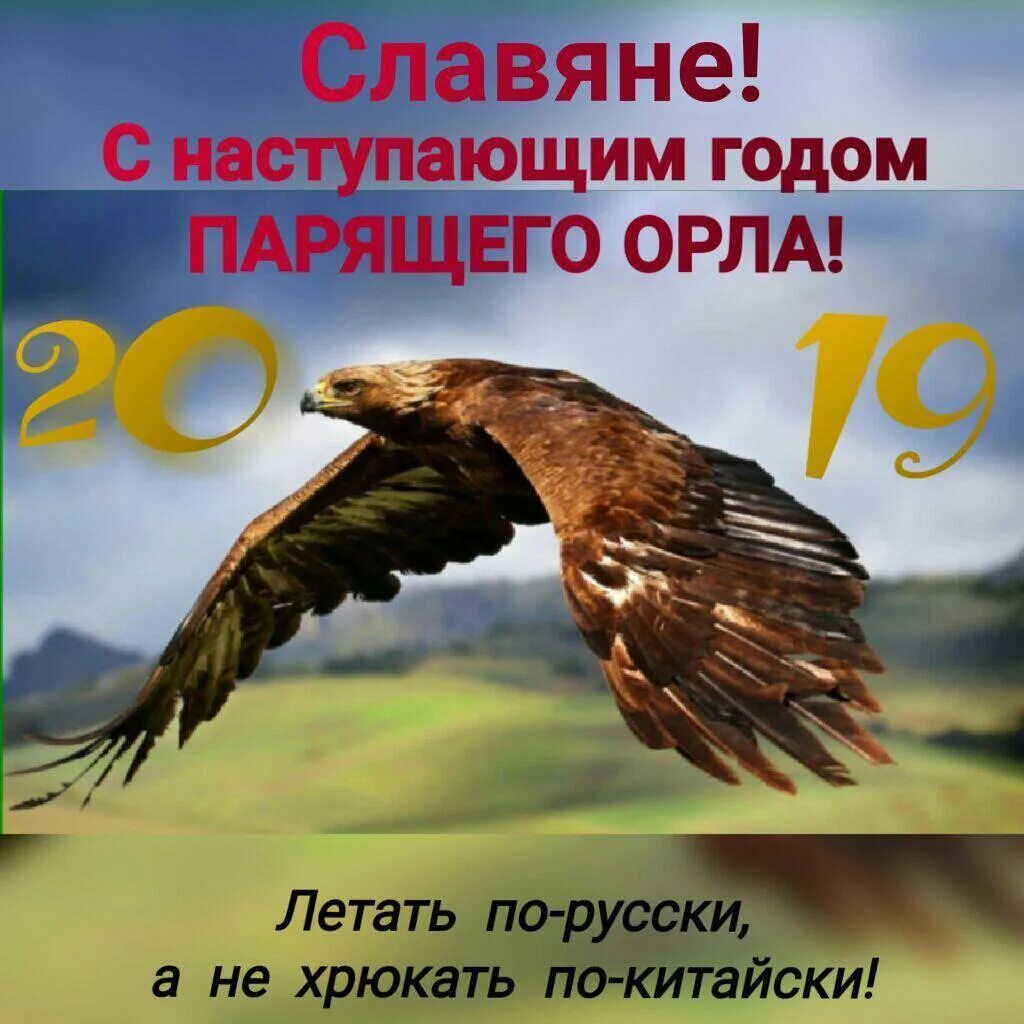 Год орла какого числа. Год парящего орла. славянский год парящего орла. парящий орел по славянскому. с новым годом парящего орла.