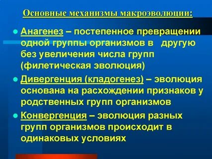2 макроэволюция