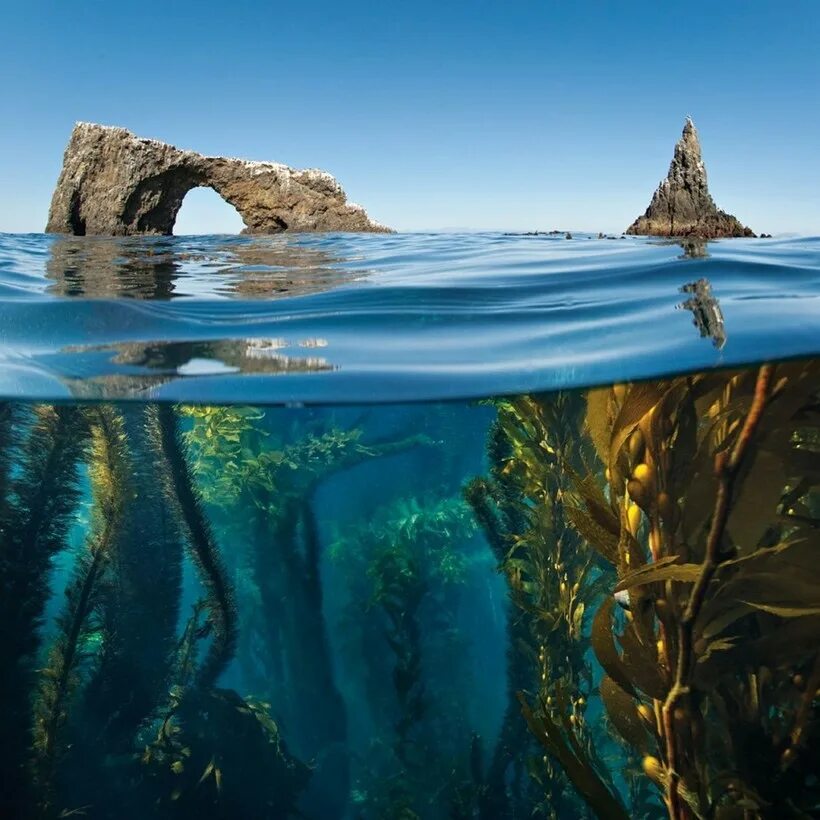 Чудесное и невероятное. Природа море. Красивый океан. Красивые подводные пейзажи. Красота моря.