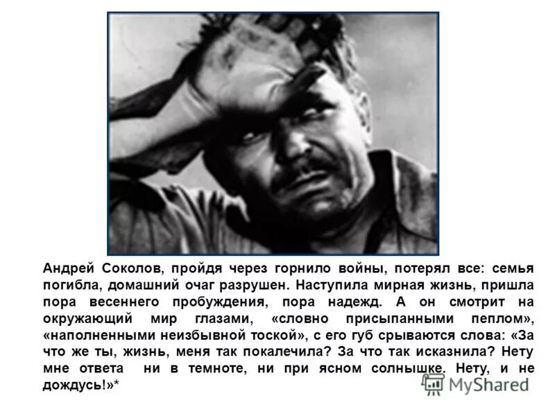 Что помогло андрею соколову остаться человеком. Судьба человека тема войны. Шолохов судьба человека тема войны:.