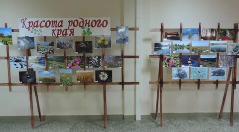 Название фотовыставок в детском саду