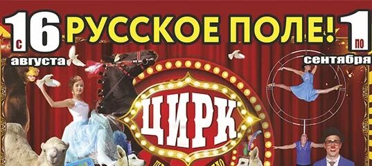 Цирк таганрог русское поле. Таганрогский цирк. Цирк в Таганроге на русском поле. Купон в цирк шапито Торнадо. Цирк Скиф Таганрог.