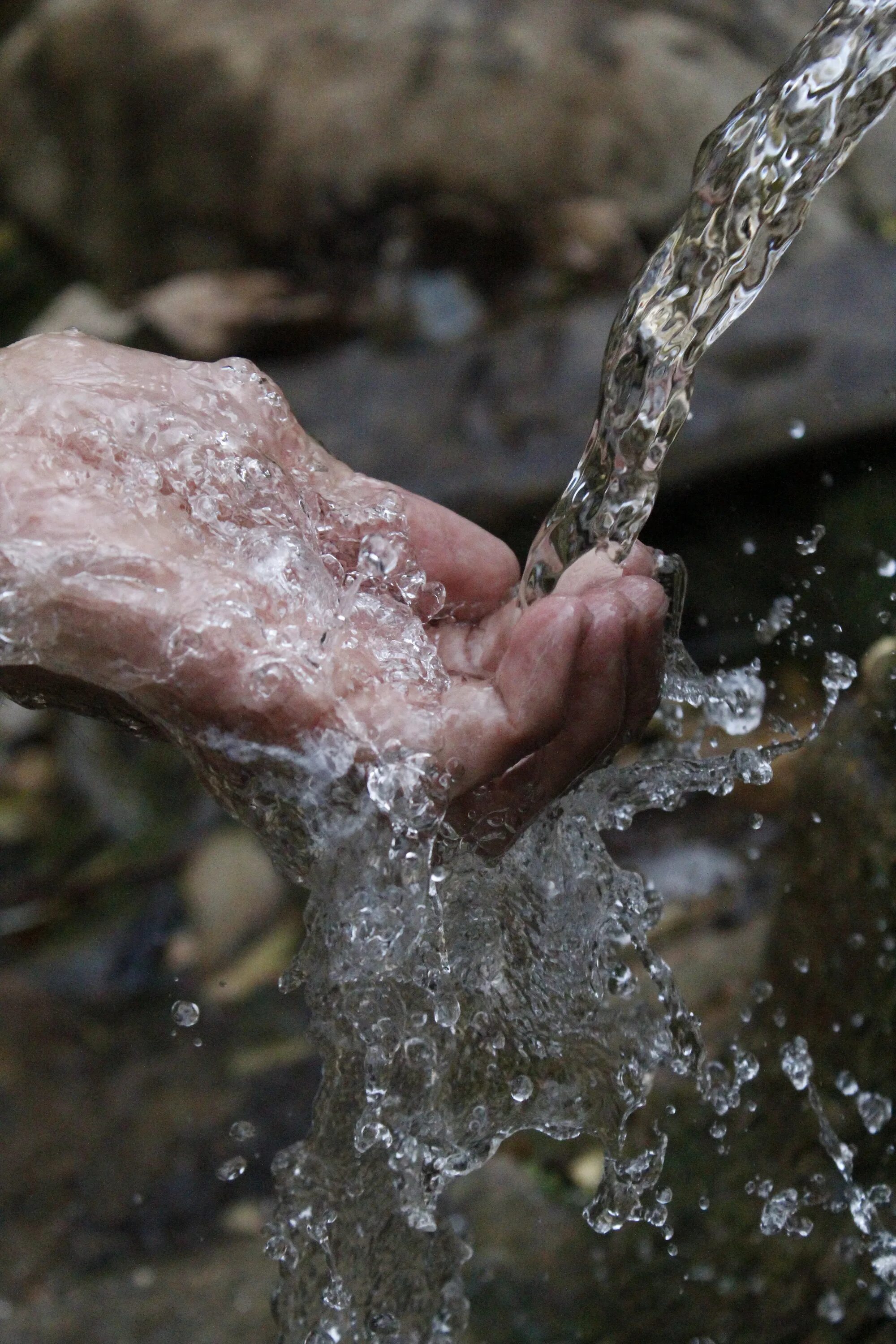 Источник воды. Родниковая вода. Питьевая вода из родника. Вода из родников.