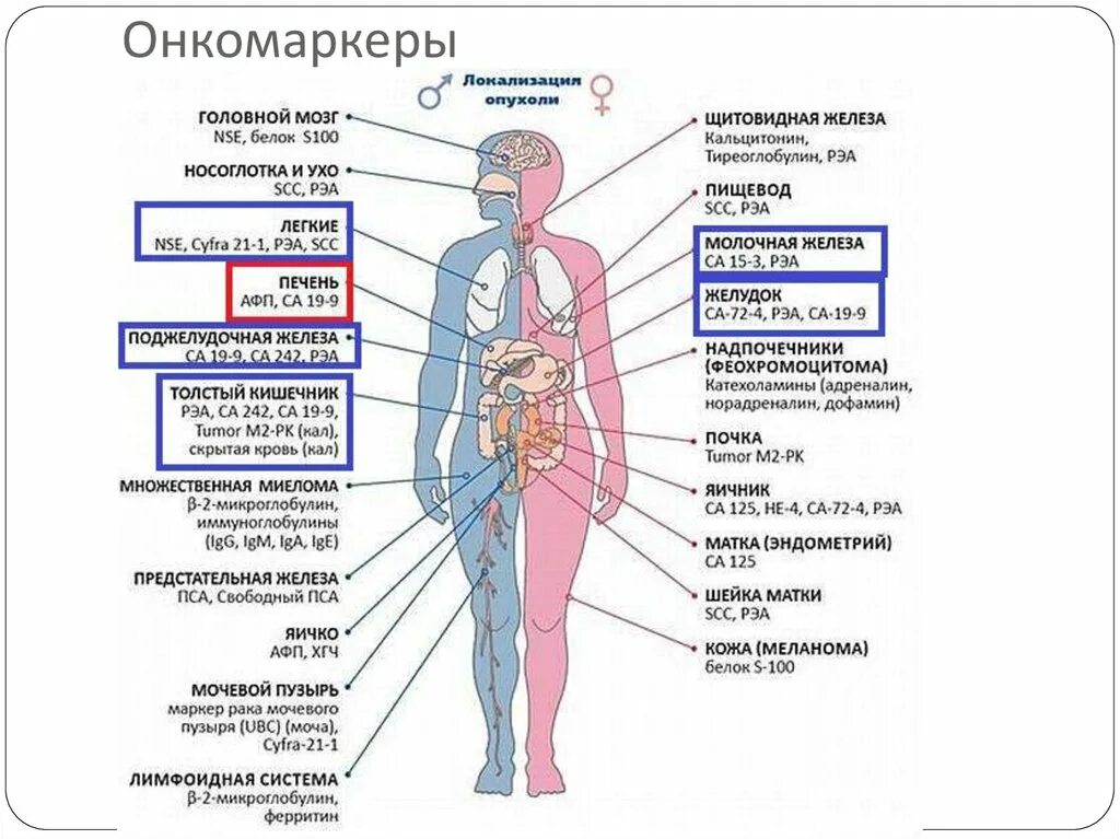 Если есть подозрение на рак