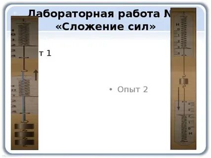 Лабораторная работа по физике 7 класс сила