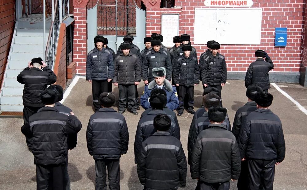 Берут ли заключенных