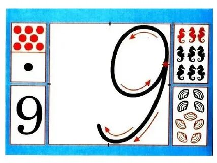 Конспект числа 8 и 9 цифра 9