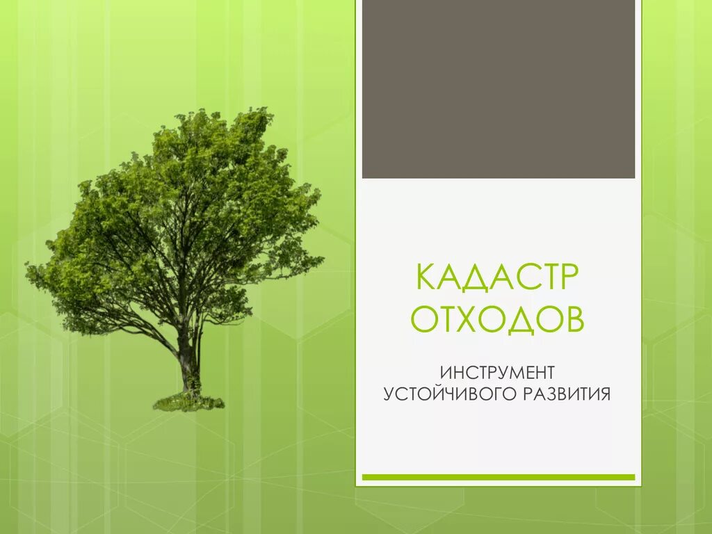 Кадастр отхода. Кадастр отходов. Государственный кадастр отходов. Государственный кадастр отходов картинки. Кадастр отходов отчет.