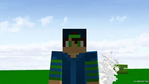 Silverfish minecraft vs real life