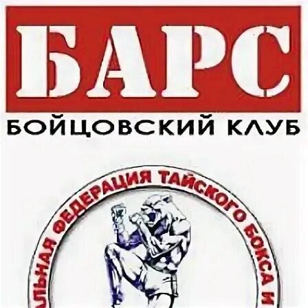 Клуб барс