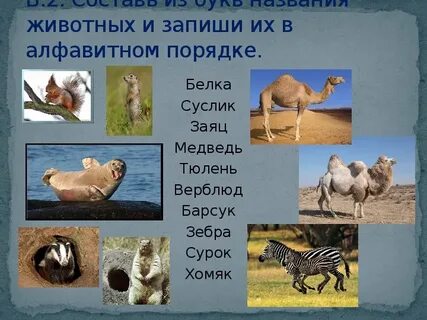 Будем называть животных