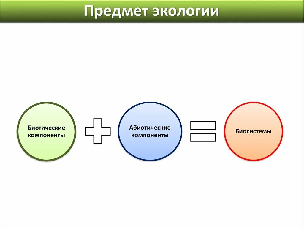 Биотическое триединство. Биотическое триединство компоненты. биотические компоненты. биотический компонент. составные компоненты биотического триединства.